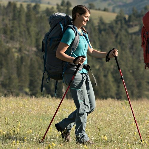 ALPS Mountaineering Conquest Trekking Pole